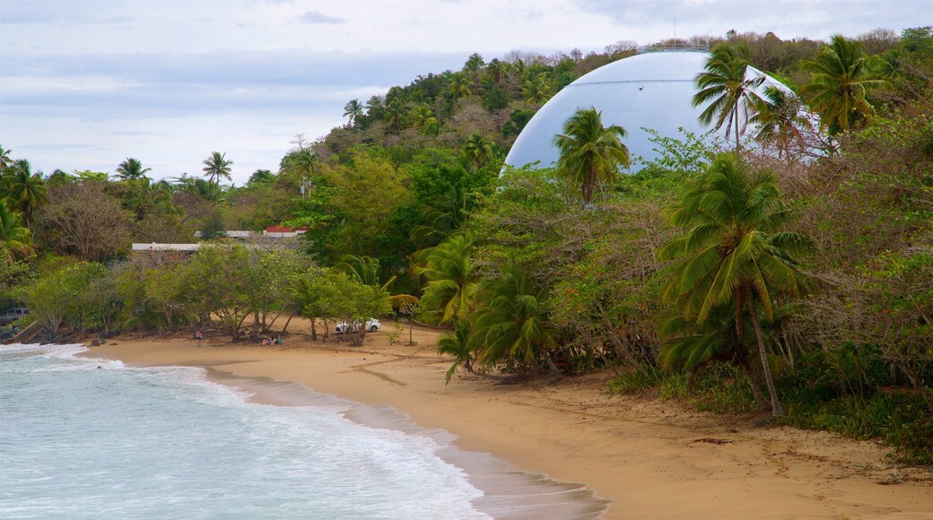 Domes Beach