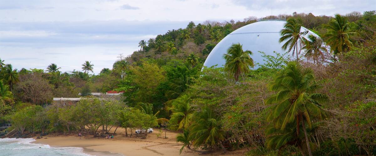 A beach with palm trees, a white dome structure, and a small building in the background.