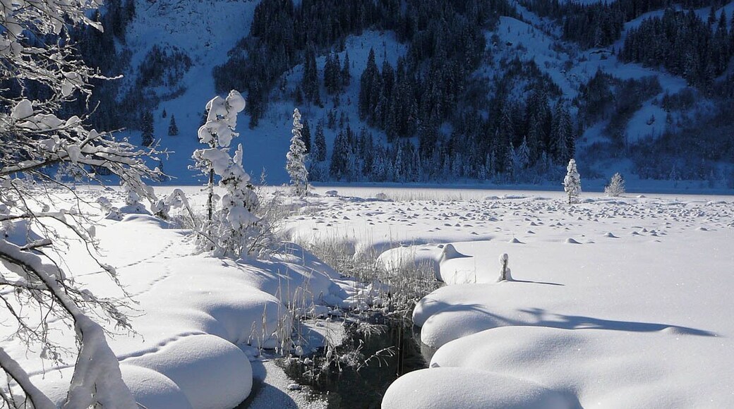 Lauenensee (Lake Lauenen) near Lauenen in the Canton of Berne, Switzerland.
Lake Lauenen is about 10 Kilometres south of Gstaad at the end of a valley at an elevation of 1381 m.
#snow