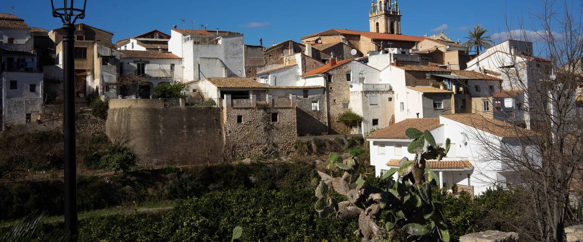 A historic town with white buildings, a prominent church tower, and cacti in the foreground.