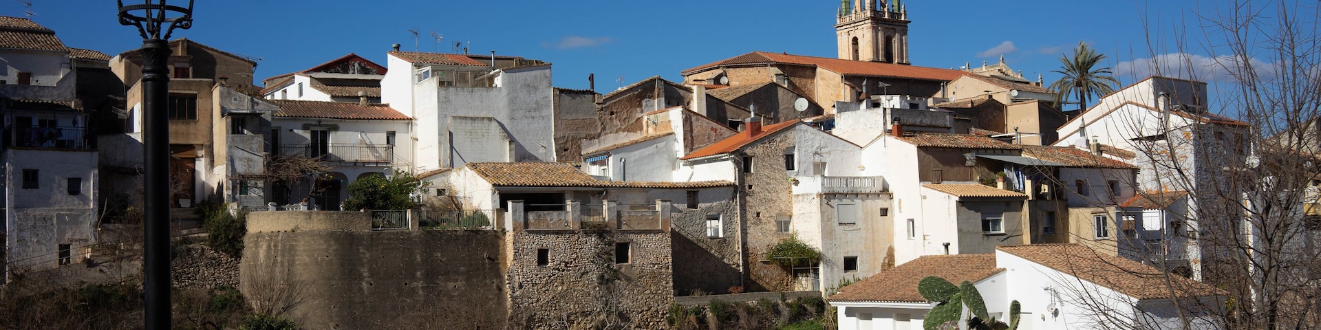 A historic town with white buildings, a prominent church tower, and cacti in the foreground.