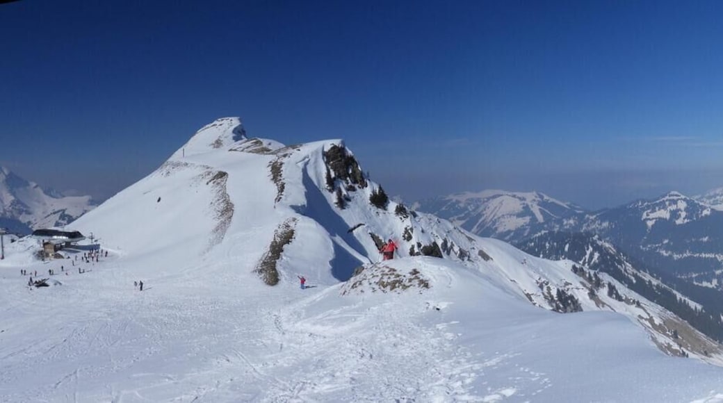 Panorama of ski slopes