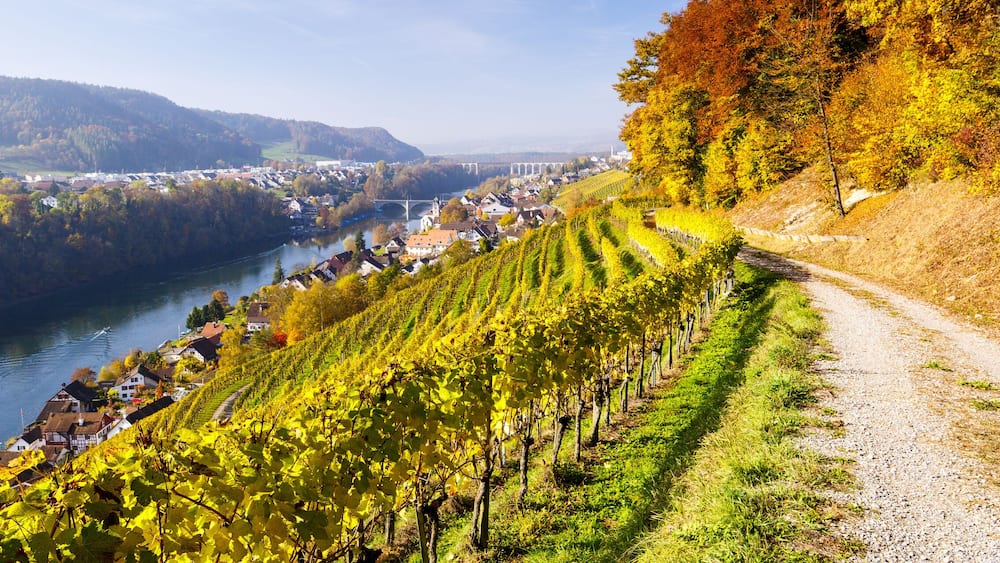 Weinanbau