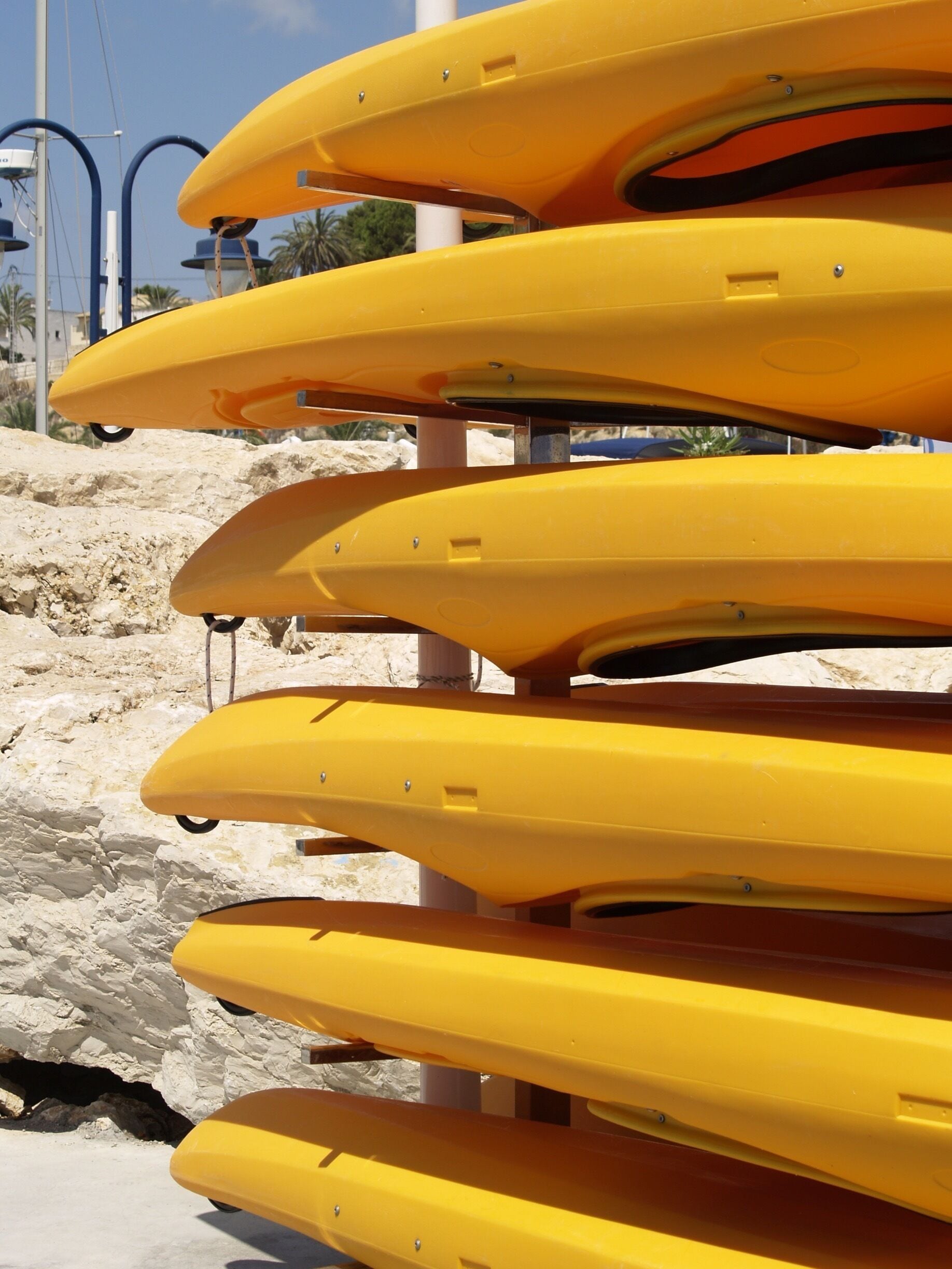 Beach walking, found these vivid colours