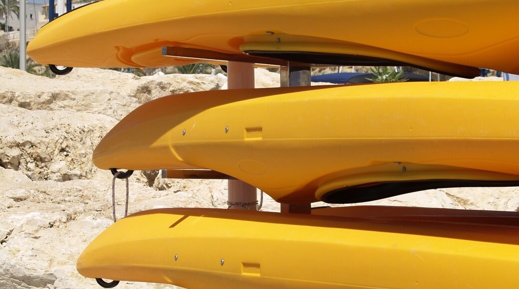 Beach walking, found these vivid colours