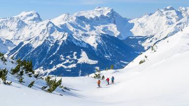 eine Gruppe Tourengeher im Hochgebirge
