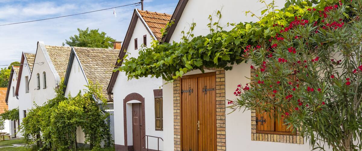 A row of white houses with brown roofs and wooden doors, a green lawn, and a flowering plant in a barrel.