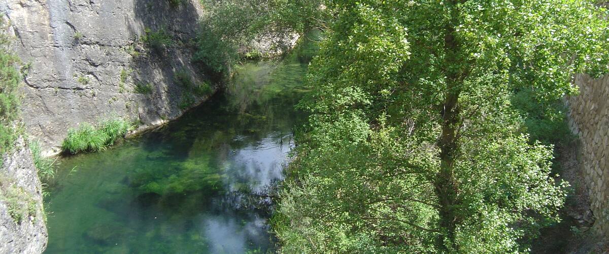 A river flowing through a canyon with rocky cliffs and dense green foliage.