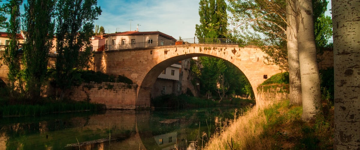 An arched stone bridge over a calm river, surrounded by trees and buildings.