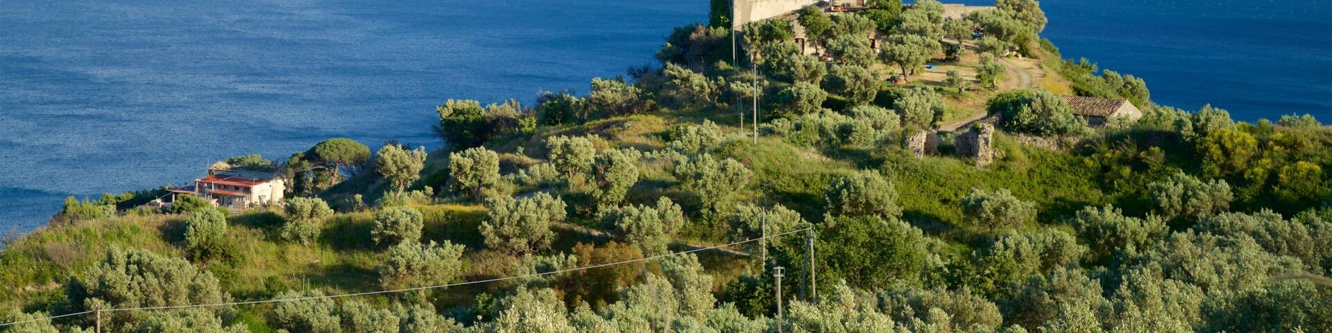 A coastal landscape with a prominent building on a hill, surrounded by olive trees and a clear view of the sea.