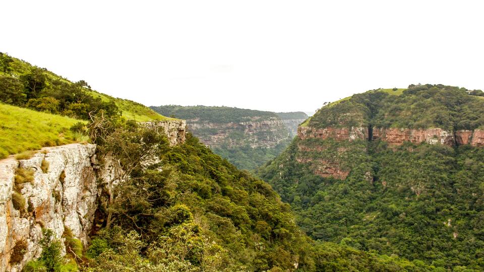 A steep cliff with lush greenery and a deep valley.