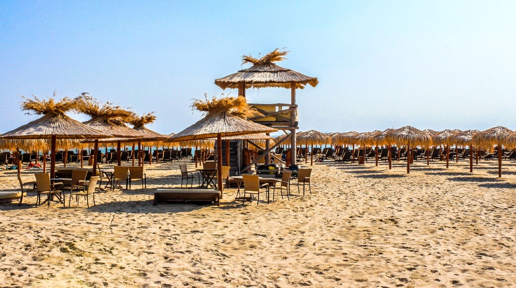 Beach with straw umbrellas.