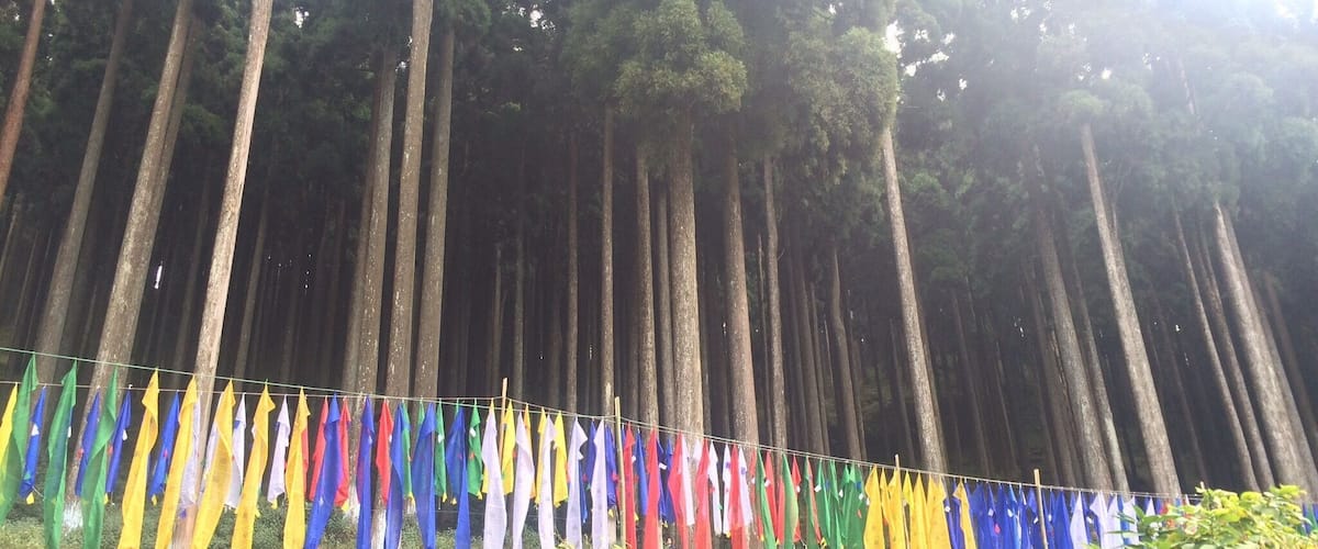 Colourful strips of clothes hangs in the garden on the mountain slope on the backdrop of jungle... Each strip of cloth is believed by the locals to be in memory of their late relatives and family members
