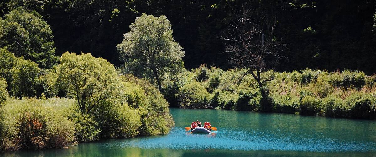 A river surrounded by dense greenery and trees.