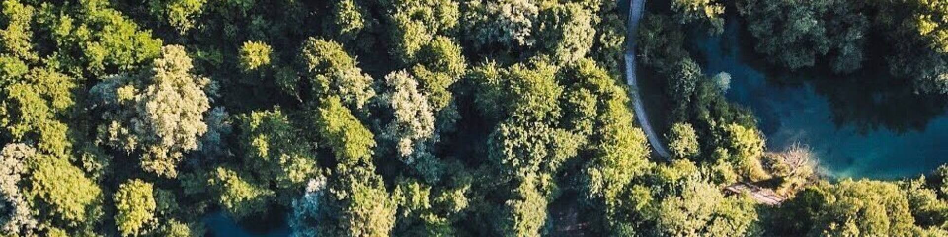 The green heart of Bosnia.
A natural heart created by the beautiful river Una. What a great experience discovering this beautiful place and national park. Love Bosnia.
#heart #nature #bosnia #romance #river #una
Make sure you follow me on:
https://www.facebook.com/ShotByCanipel/
https://www.instagram.com/canipel/
