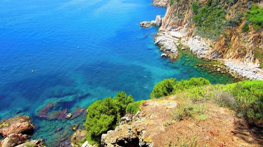 If you're visiting the Costa Brava, you must take a boat trip along the coast from one town to the next.
I went from Calella to Tossa de Mar. The entire coastline is one of the most beautiful I have ever seen.
Once in Tossa, you can hike to Castillo de Tossa de Mar, an old castle which is remarkably well preserved. There are several restaurants and shops up there as well.