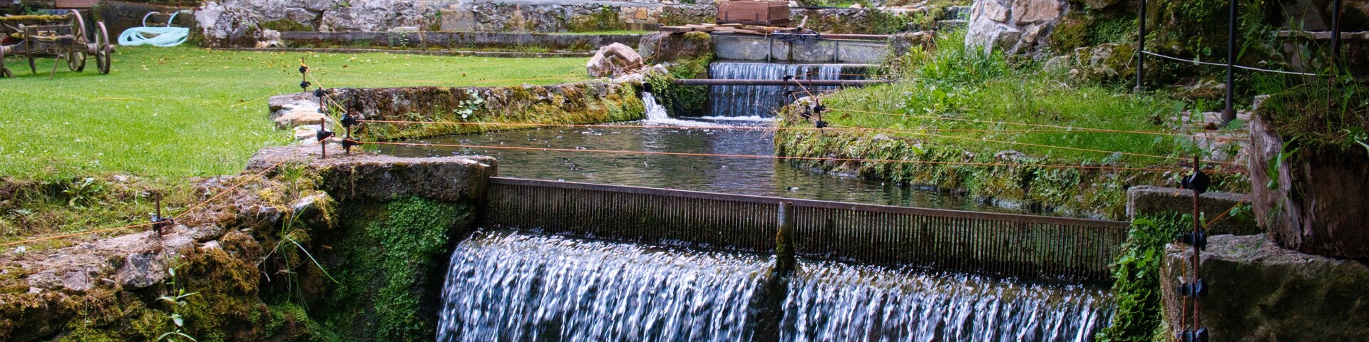Una pequeña cascada que fluye sobre rocas cubiertas de musgo hacia un estanque, rodeado de abundante vegetación y un muro de piedra.
