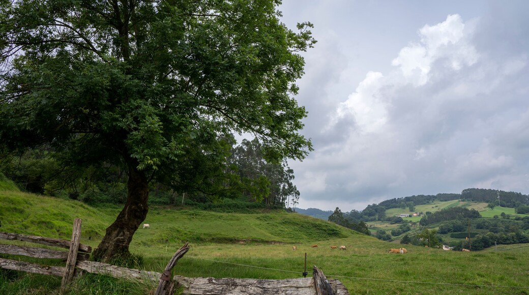 Countryside view in Llanera, Asturias
