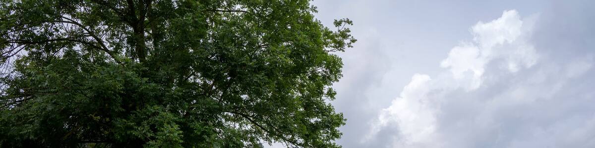 Countryside view in Llanera, Asturias
