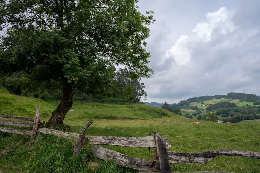 Countryside view in Llanera, Asturias