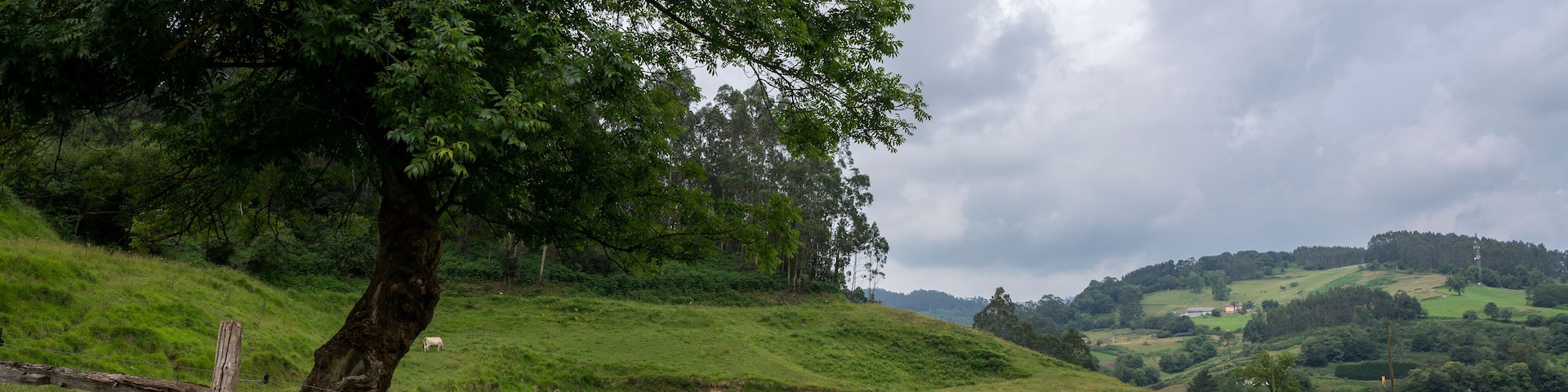 Countryside view in Llanera, Asturias