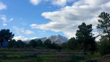 A mountain with snow-capped peaks, a clear blue sky with scattered clouds, and a grassy field with scattered trees.