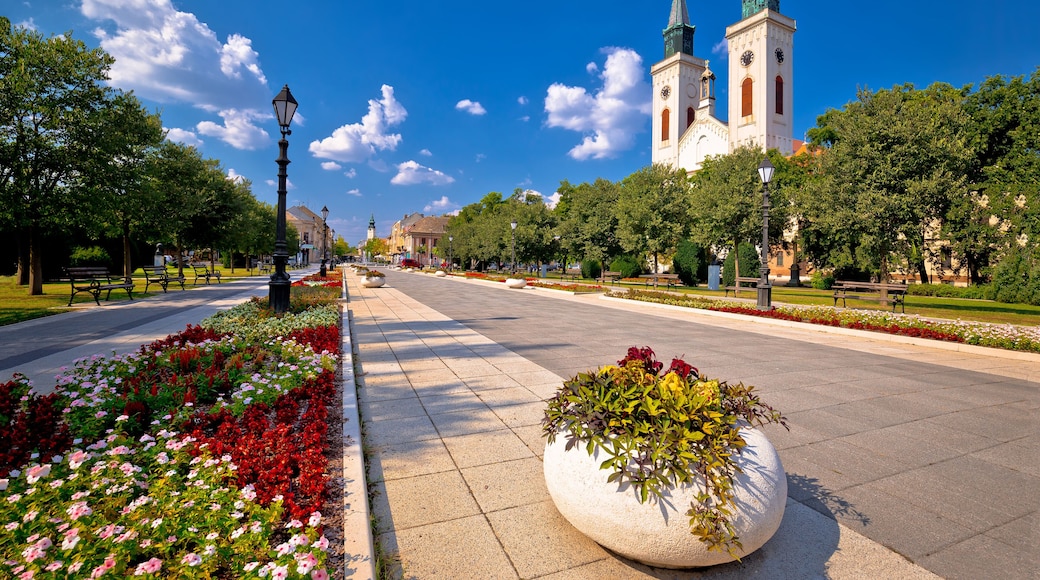 Town of Sombor square and church view