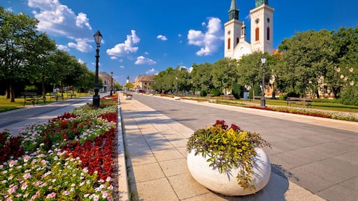 Town of Sombor square and church view
