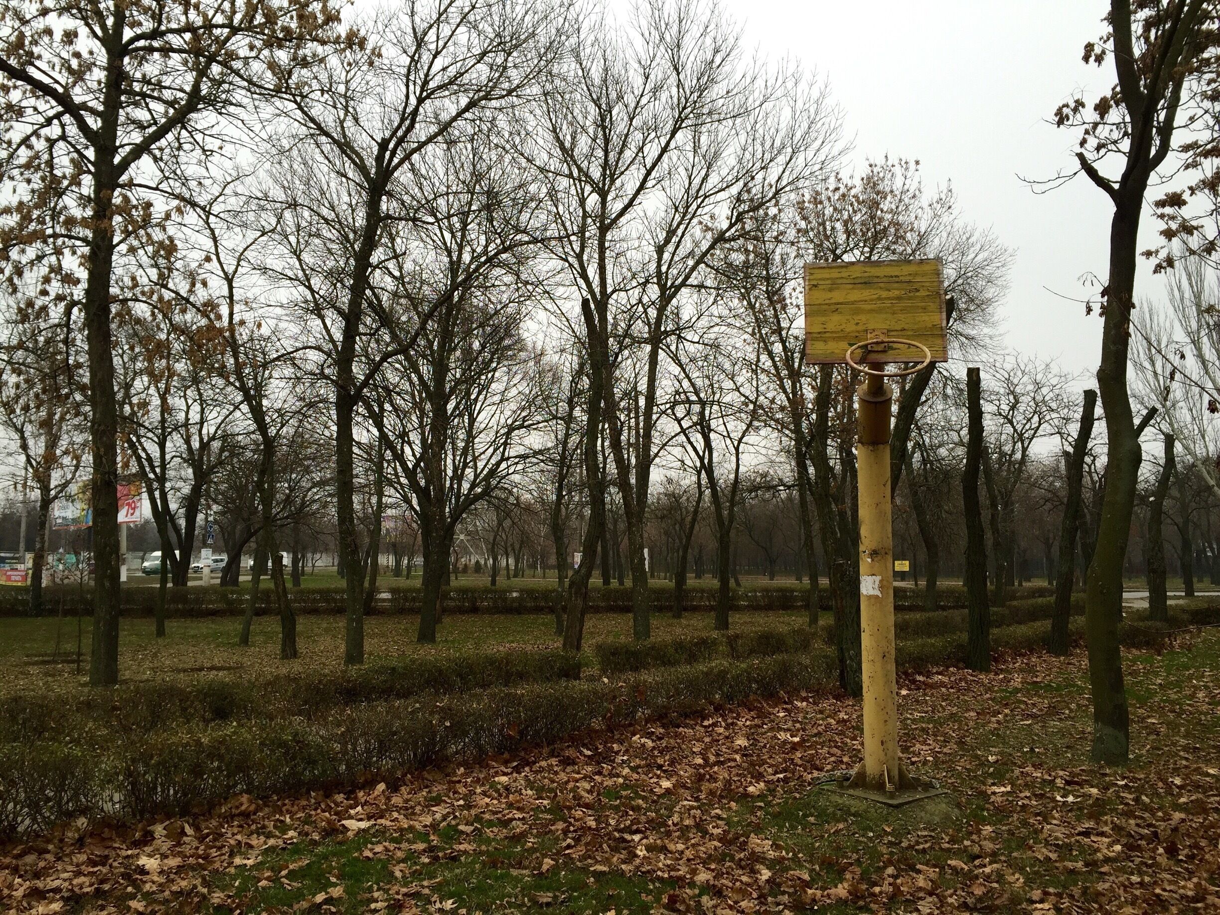 Indiana, this is not. I love to see the hoop, but it's tough to play basketball on grass, leaves, and sand.