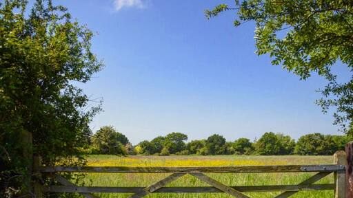 ...summer time in the English village