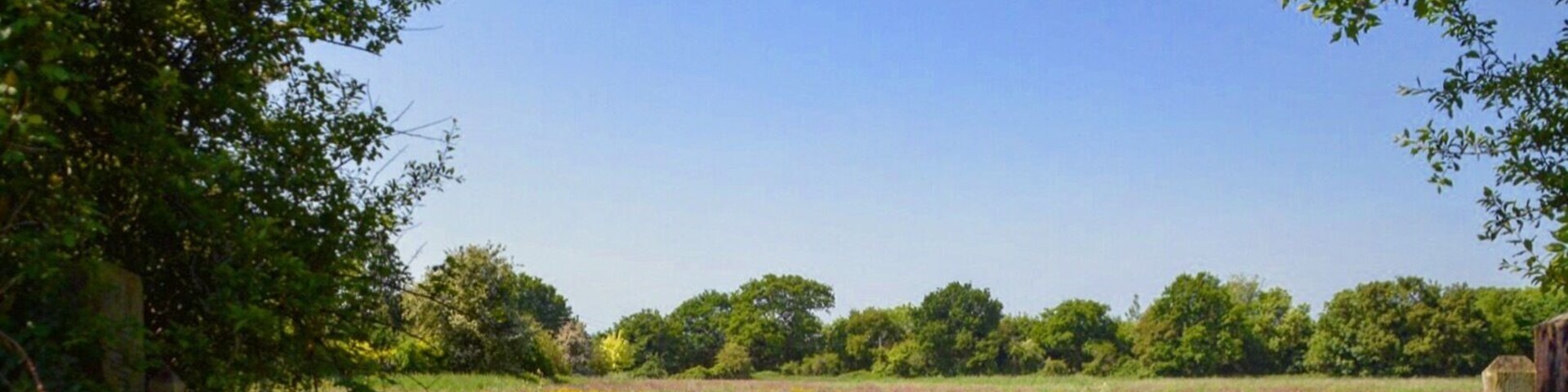 ...summer time in the English village