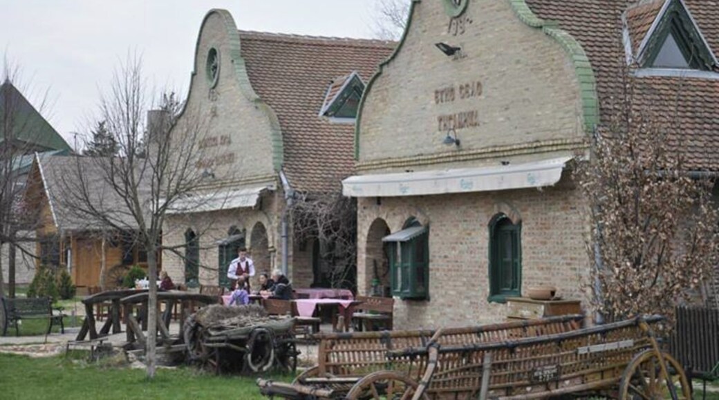 Ethno Village Tiganjica