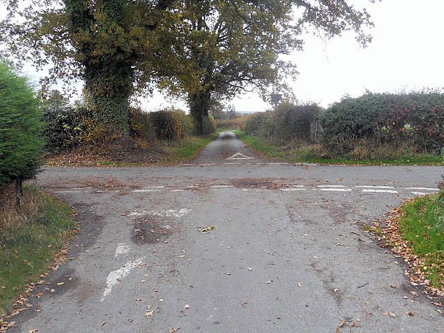 A rural road with a tree-lined path, wet patches, and fallen leaves.