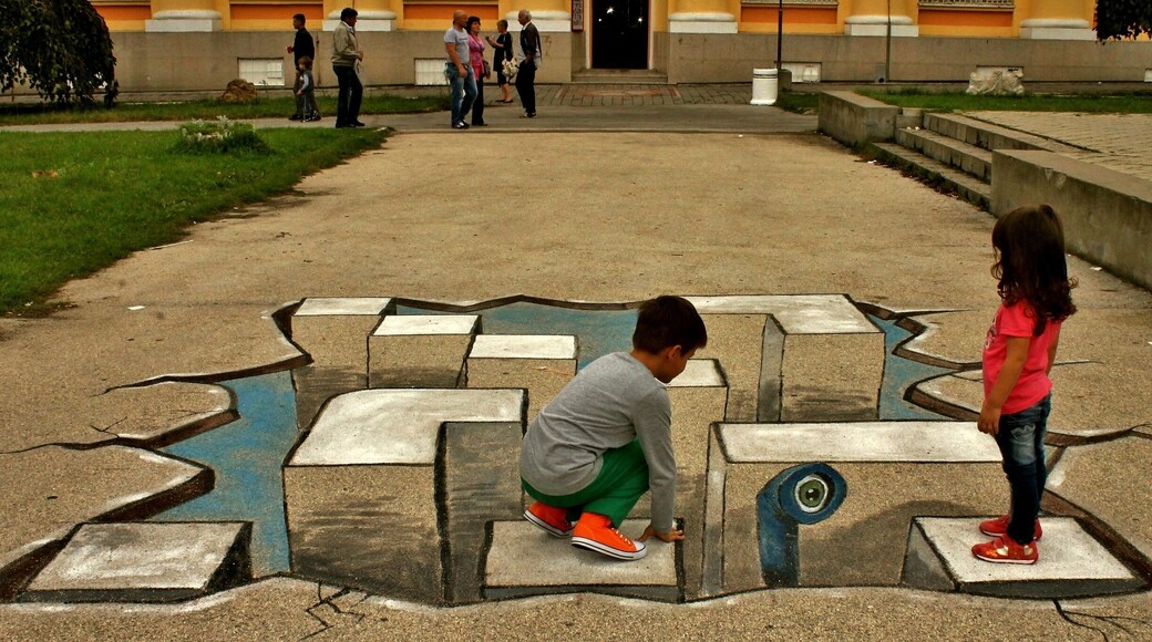 Street 3D art in front of National Museum in Zajecar downtown! My kids love it!
#kidsfun
#Zajecar
#Serbia