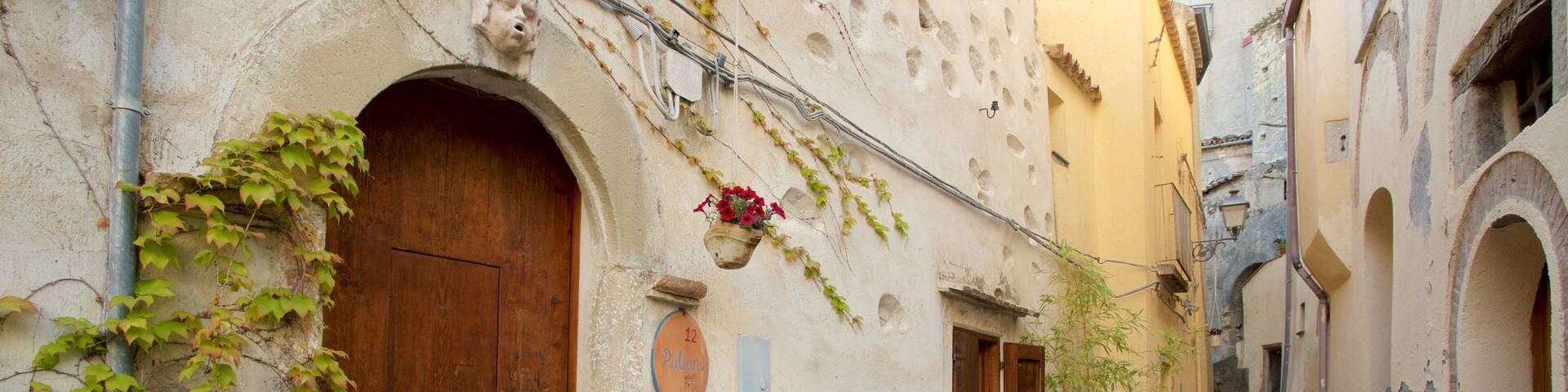 A narrow cobblestone street with old buildings, wooden doors, and potted plants.