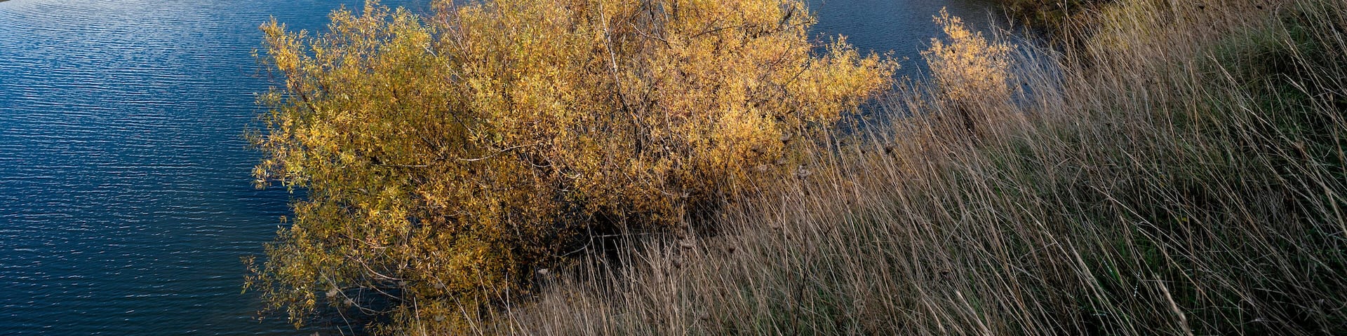 A river winding through a hilly landscape with autumn foliage and distant mountains.