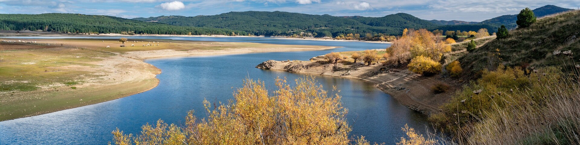 Spezzano della Sila, Cosenza district, view of Lake Cecita with autumn colors, Sila National Park, Calabria, Italy