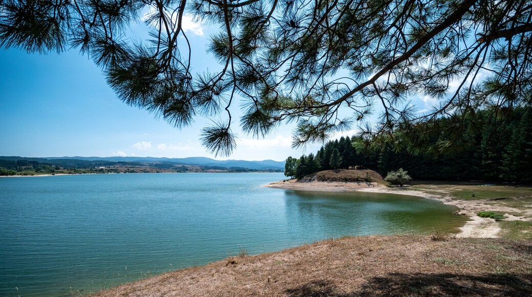 Cecita lake in Sila National Park. Spezzano della Sila, Cosenza, Calabria, Italy
