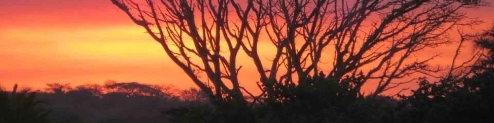 Take a beautiful sunset cruise through the Estuary to see crocodiles, hippos and other wildlife as well as stunning sunsets like this!