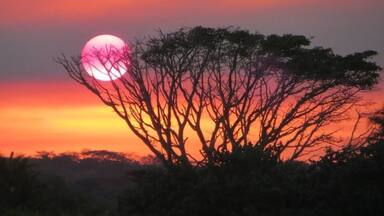 Take a beautiful sunset cruise through the Estuary to see crocodiles, hippos and other wildlife as well as stunning sunsets like this!