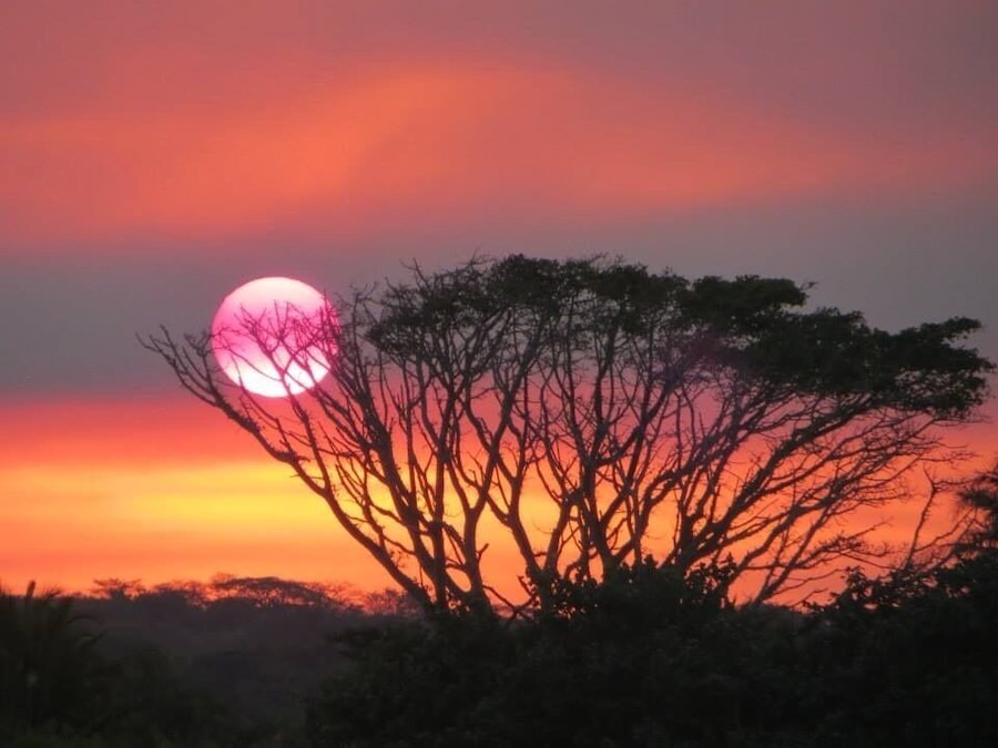 Take a beautiful sunset cruise through the Estuary to see crocodiles, hippos and other wildlife as well as stunning sunsets like this!