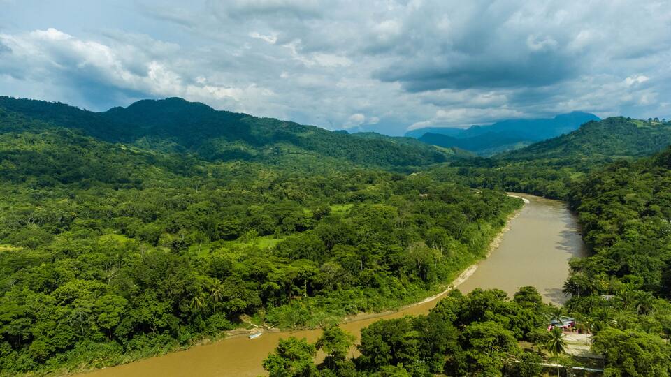 A river winding through a dense forest with mountains in the background.