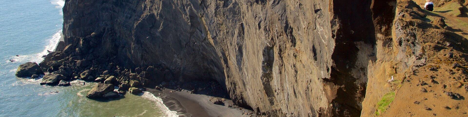 Dyrholaey mostrando costa escarpada