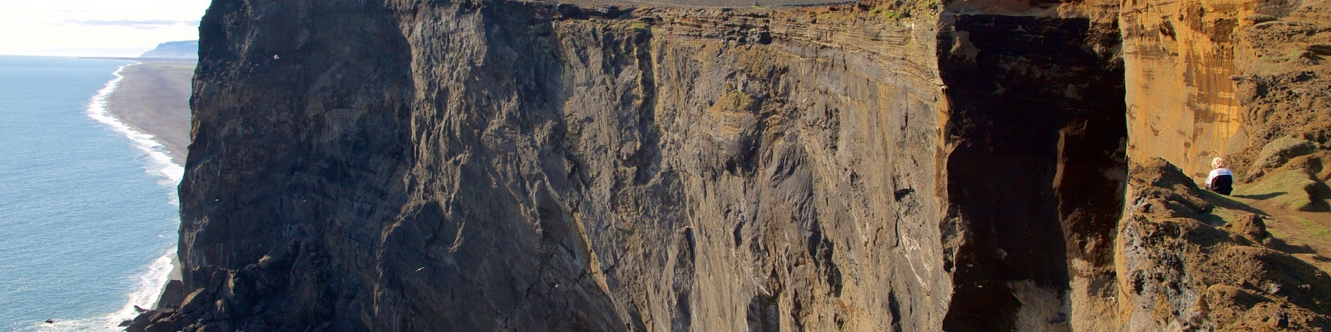 Dyrholaey which includes rocky coastline