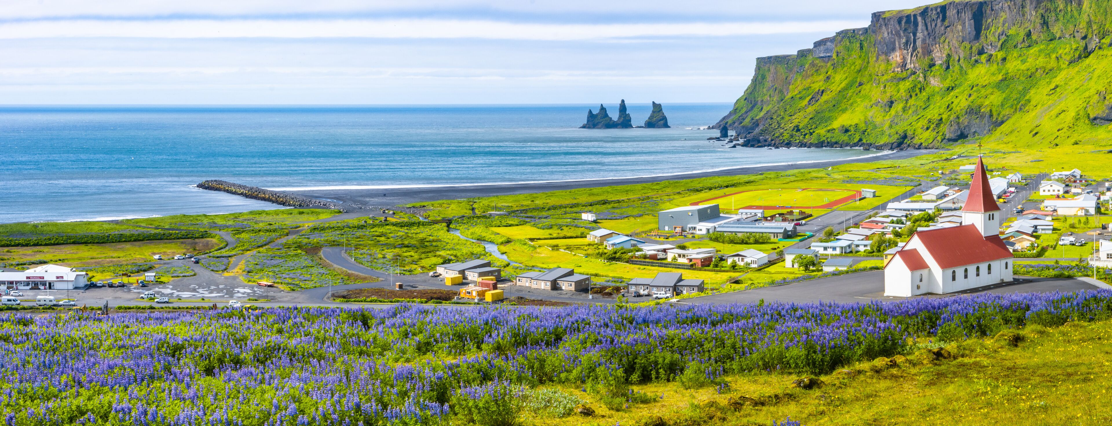 A coastal town with a church, a lighthouse, and a field of purple flowers.