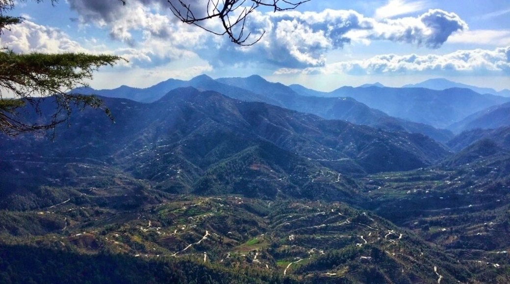 Explore the unexplored ! Mukteshwar 🏞️ Place famous for its Oak trees and bird watching #lifeatexpediagroup #nature #trek #unexplored