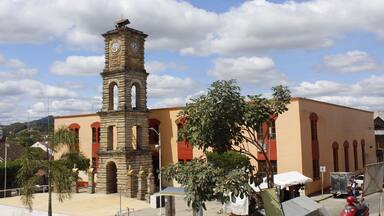 A historic clock tower, a building with arched windows, and a palm tree.