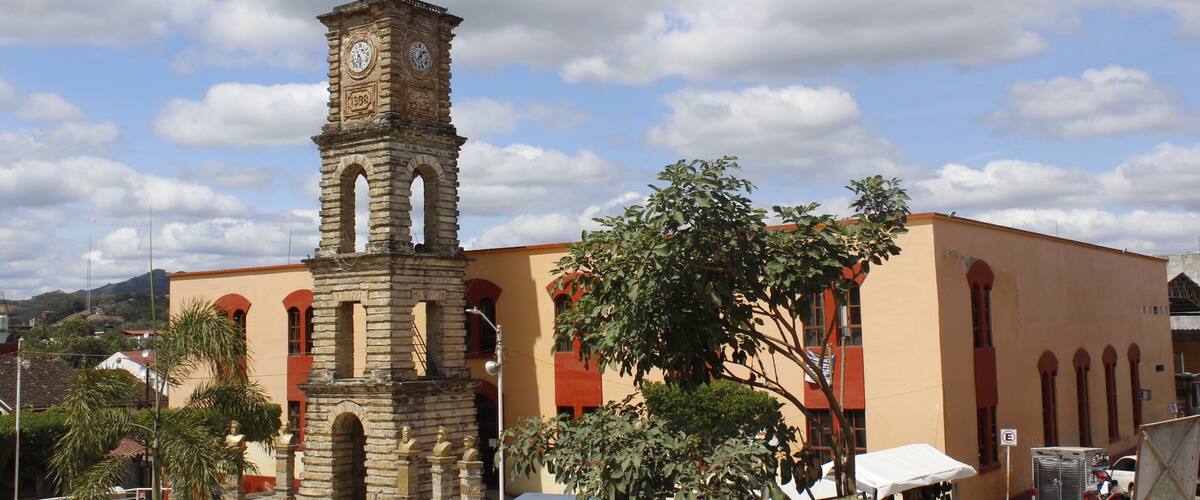 A historic clock tower, a building with arched windows, and a palm tree.