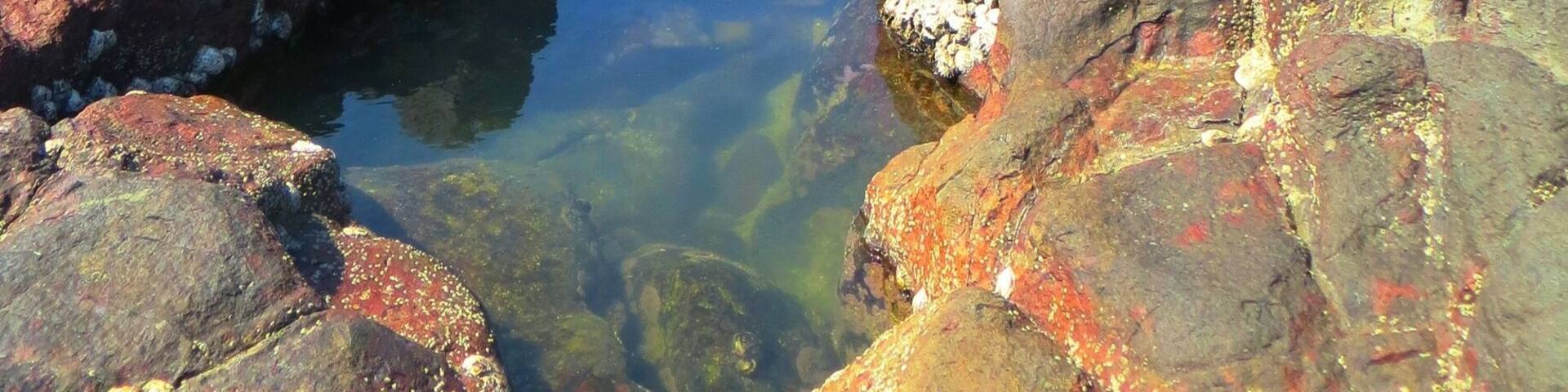 Cleanly cut hexagonal rocks in St. Mary's Island. Beach bed is full of shells. The view of this place is amazing.