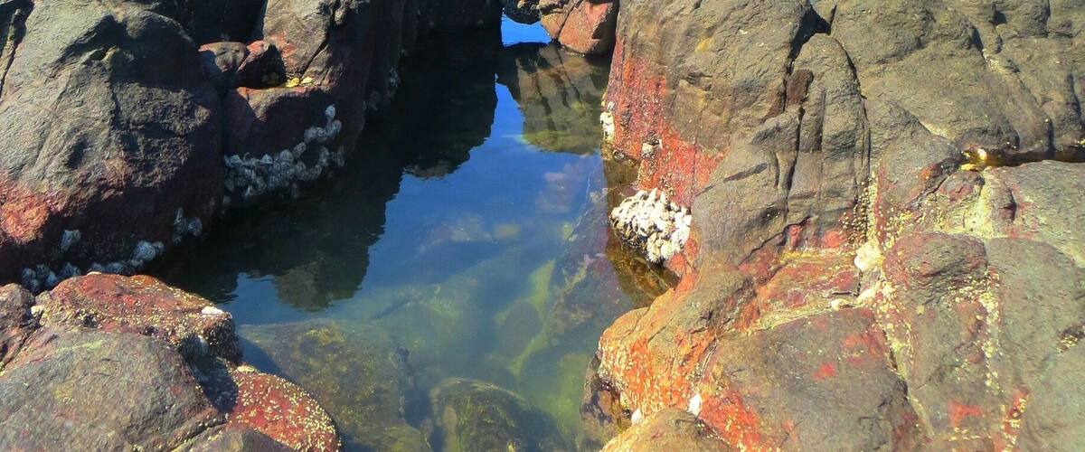 A rocky coastline with a person standing on a rock formation.